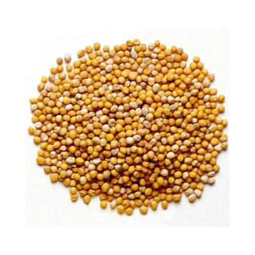 The Mustard Seeds ☆III Frontier Co-op Brown Mustard Seed, Whole 1 lb | Frontier Co-op